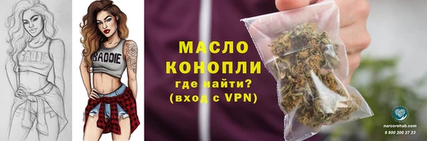 крисы Армянск