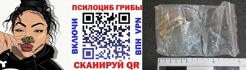 Псилоцибиновые грибы GOLDEN TEACHER  Таруса 